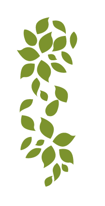 foglie-mercatino-il-mandorlo-02.png